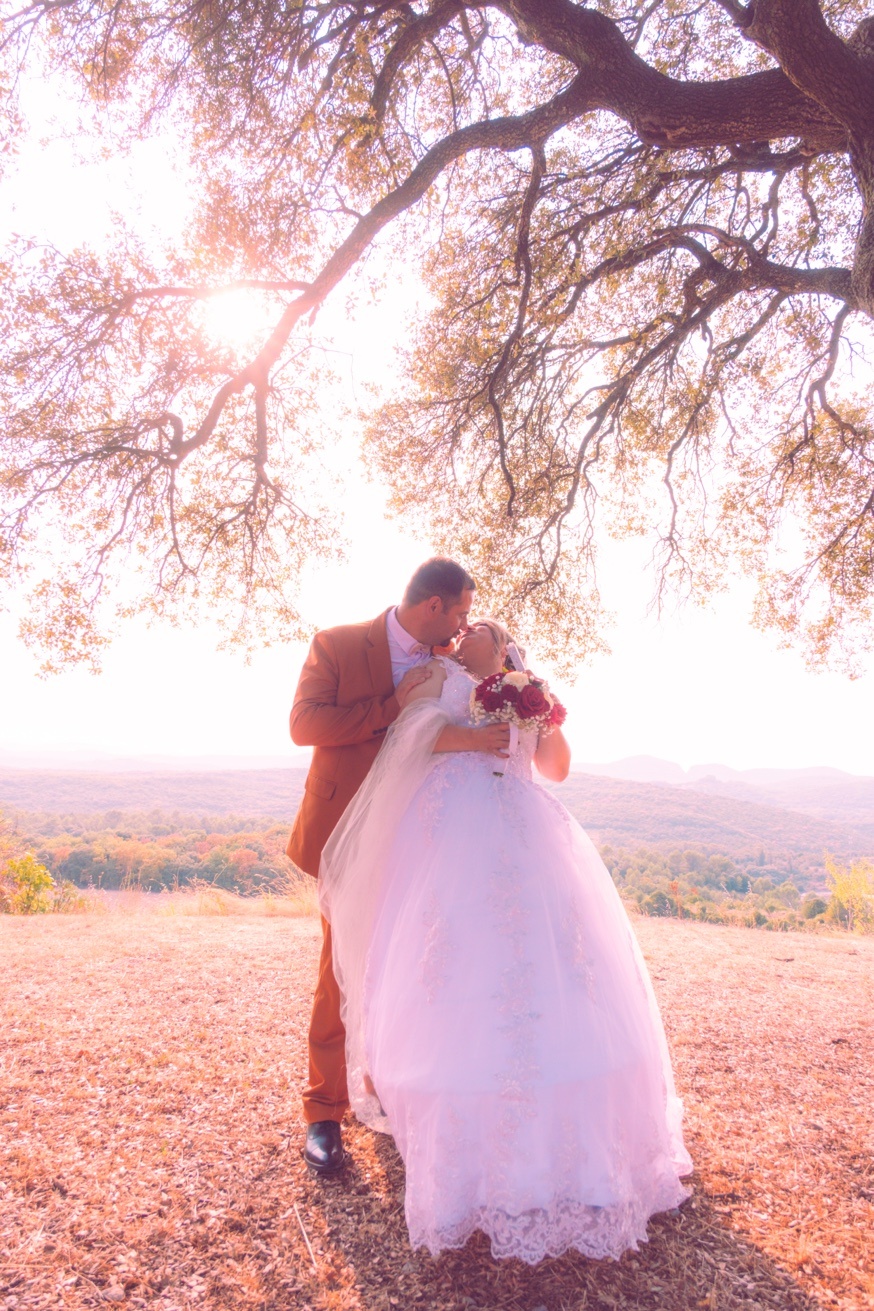 Mariage sous l'arbre
